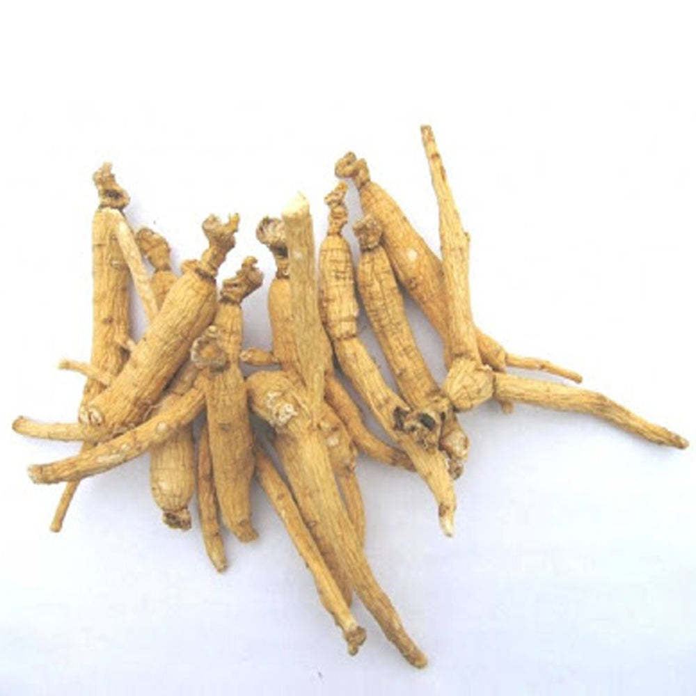 The effects of ginseng on the skin for anti-aging- Ginseng Skincare  White Lotus 